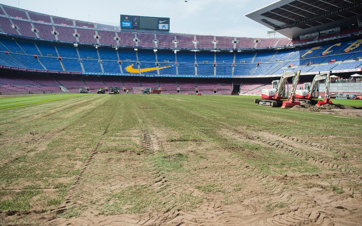 Inside view of the stadium re-turfing