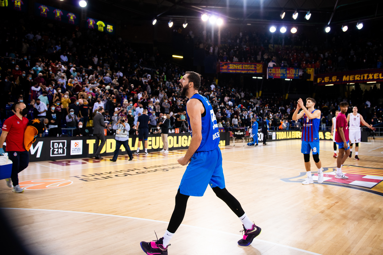 basket promotion