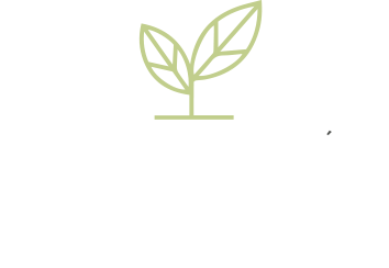 Fundación Luzon