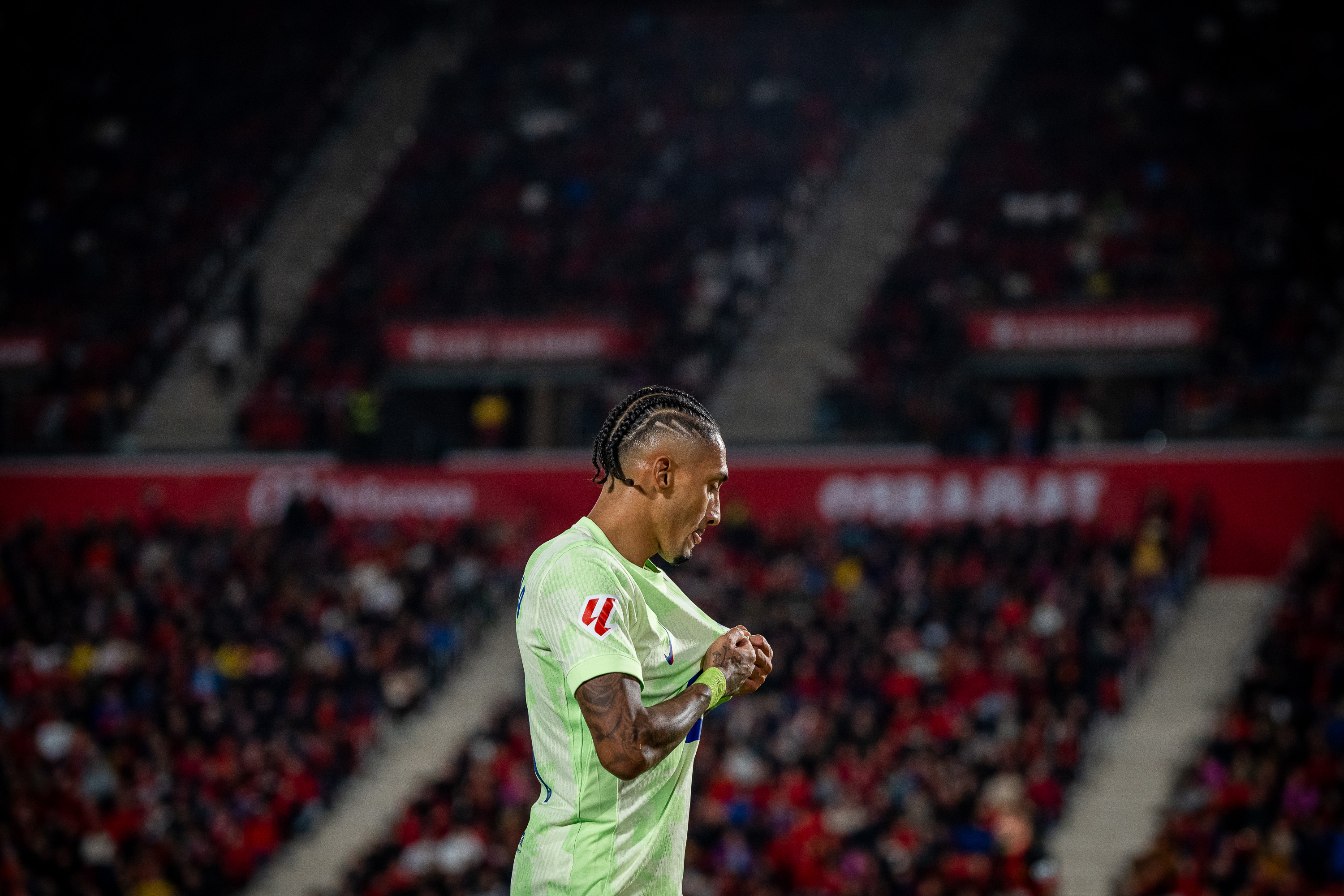 最高のハフィーニャ