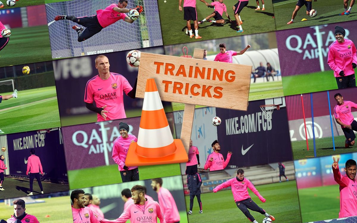 Training Tricks: Best Moments of 2014