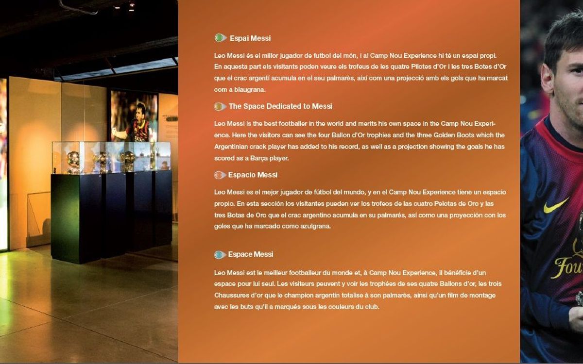Nova guia actualitzada del Museu