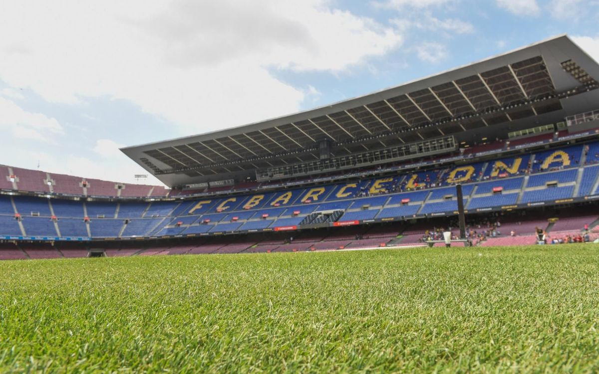 El césped del Camp Nou, listo para el Gamper