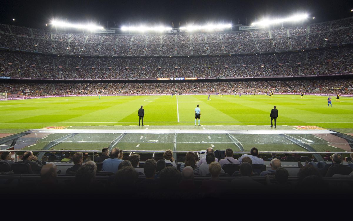 プレーヤーゾーン