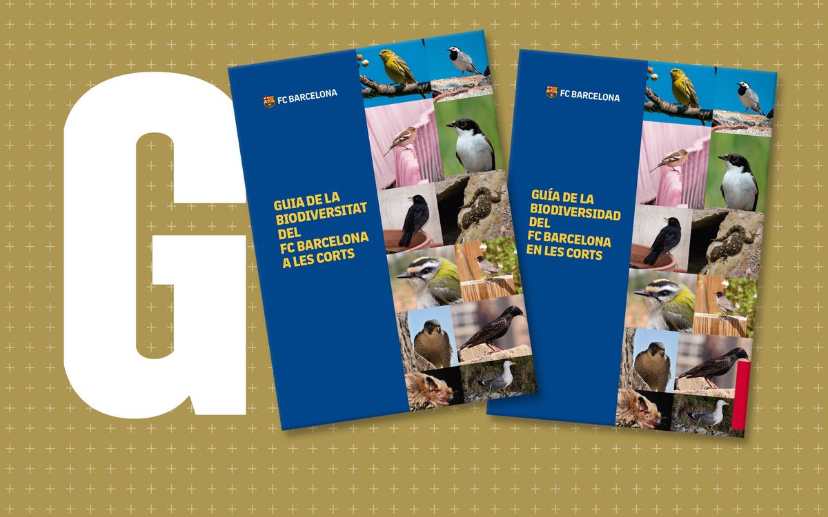 FC Barcelona publishes a guide to the 34 species present at the Spotify Camp Nou and the Palau Blaugrana