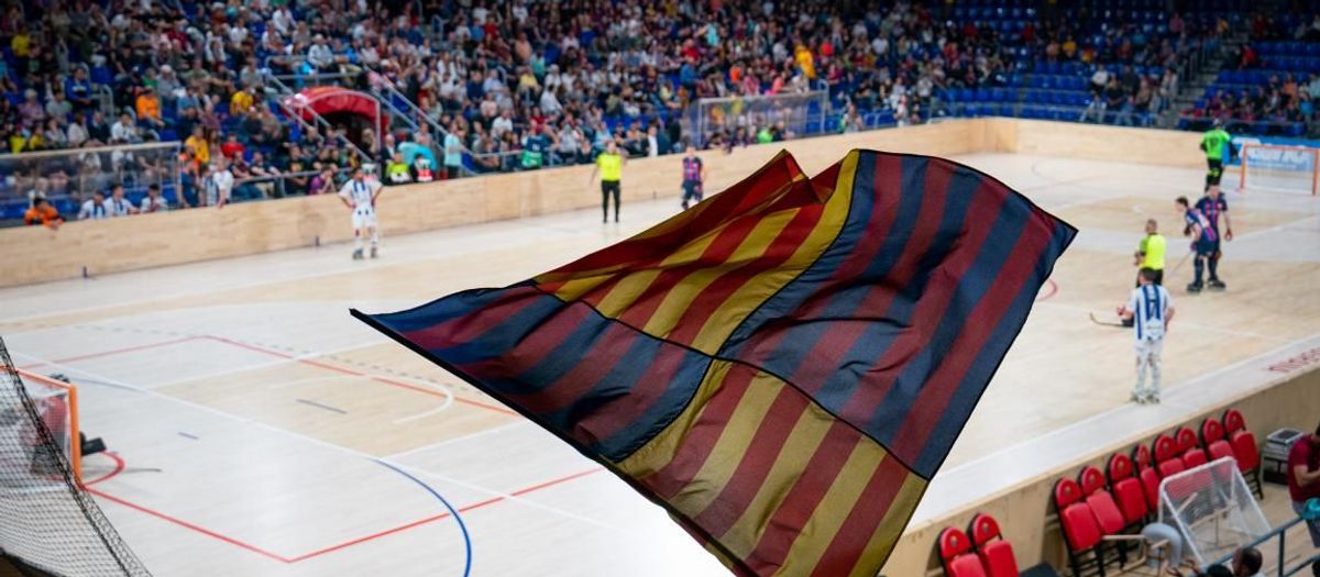 Packs et promotions Rink Hockey