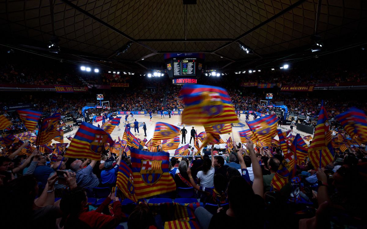 Want a unique handball experience at the Palau?