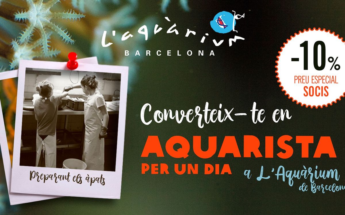 Converteix-te en aquarista per un dia a l'Aquàrium de Barcelona