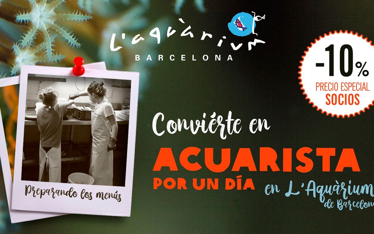 Conviértete en acuarista por un día en el Aquàrium de Barcelona