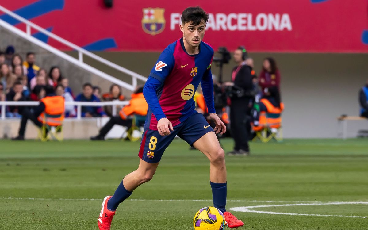 バルサの宝石・ペドリ