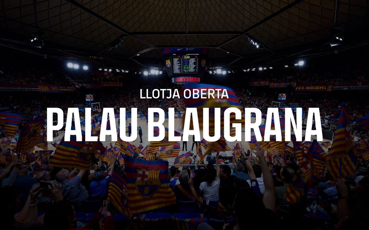 Open VIP box at the Palau Blaugrana for members