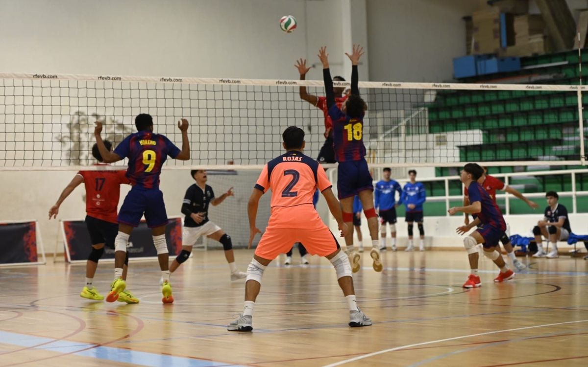 El Barça Voleibol es retroba amb la victòria davant el Cisneros La Laguna