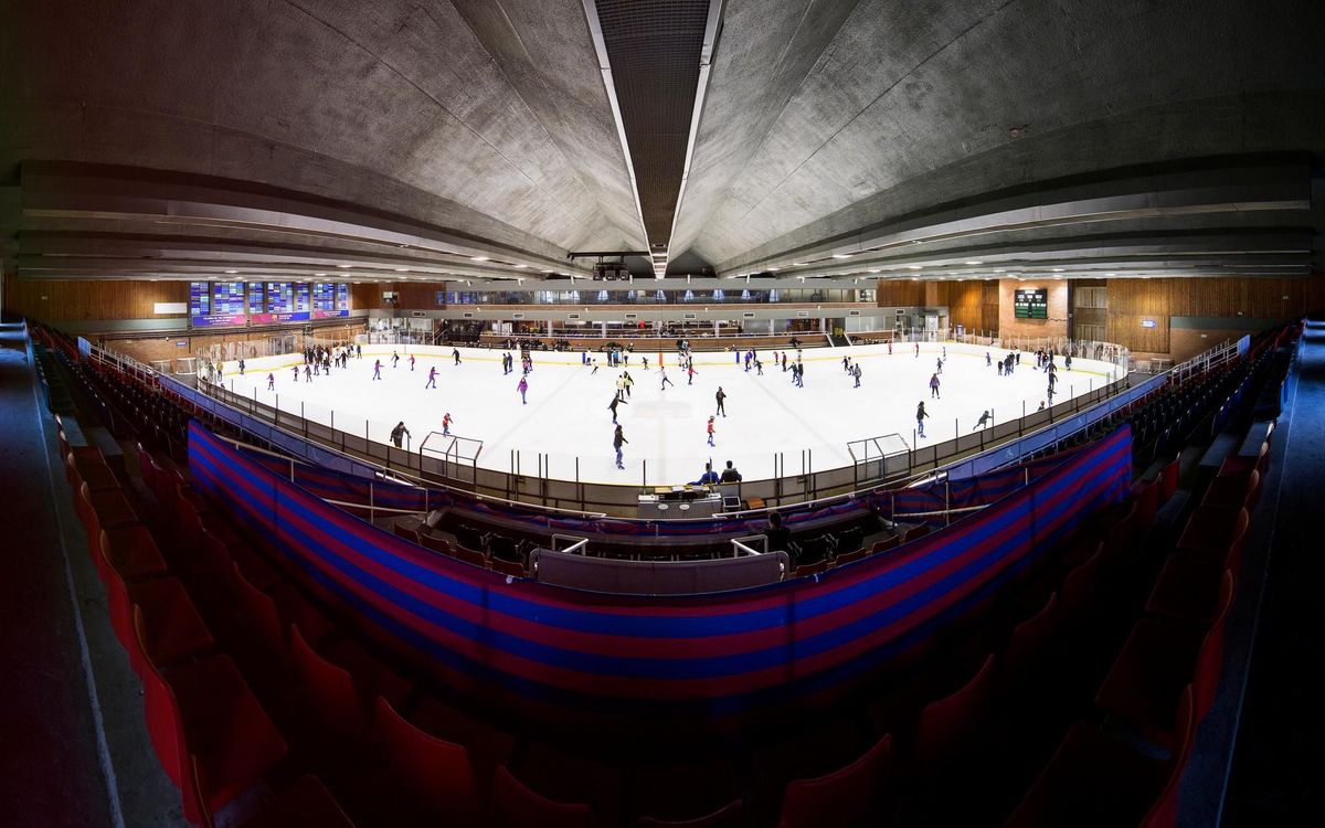 ICE RINK