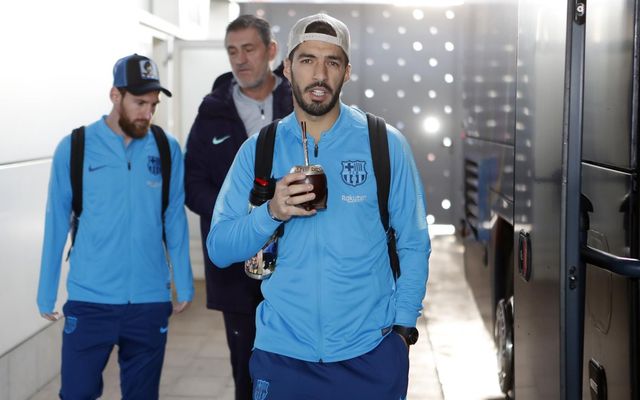 mini_2019-01-27 MIGUEL RUIZ VIAJE GIRONA 06