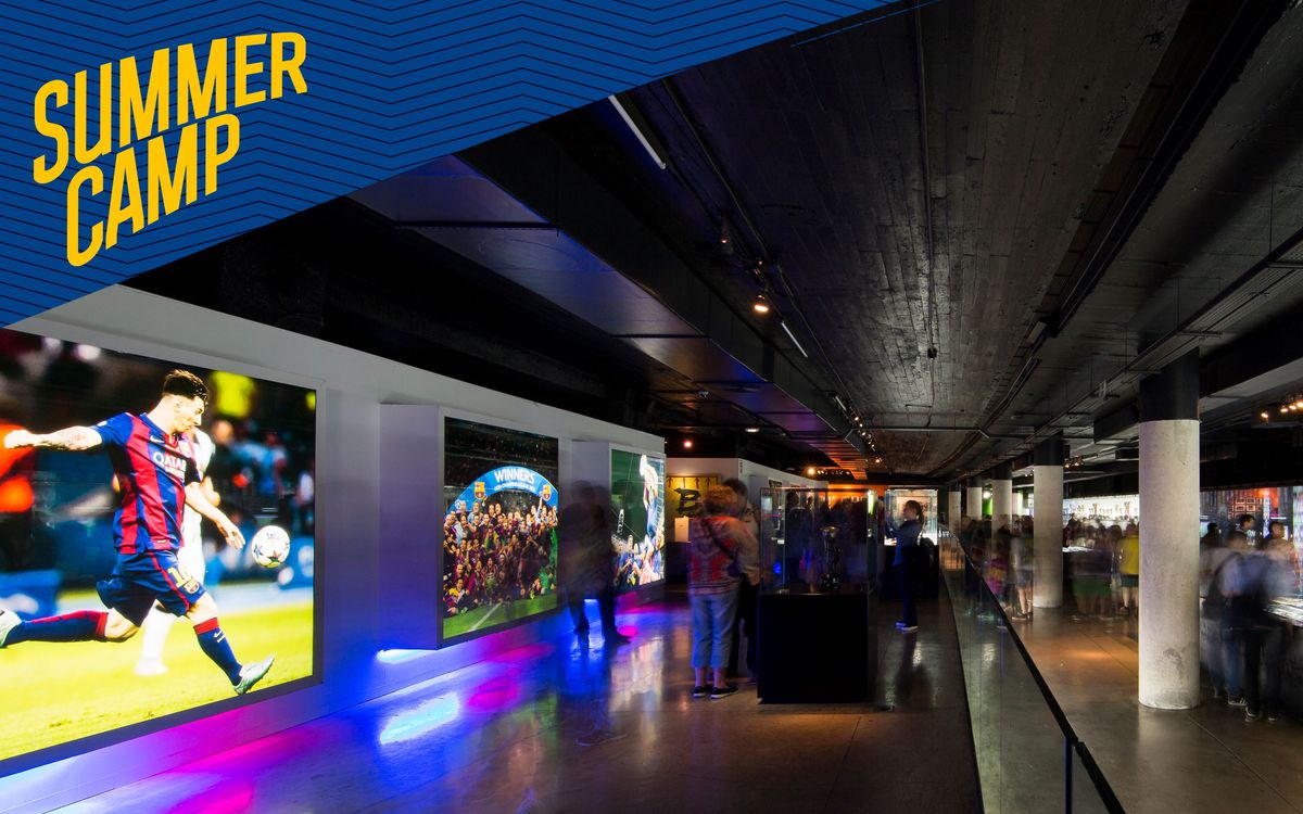 Activities & schedule