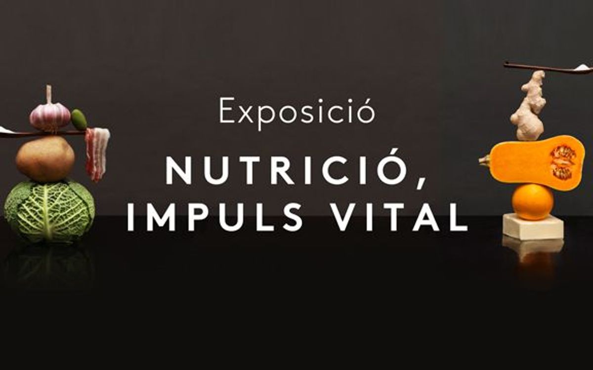 Un 2x1 para descubrir el Museu Blau de Barcelona