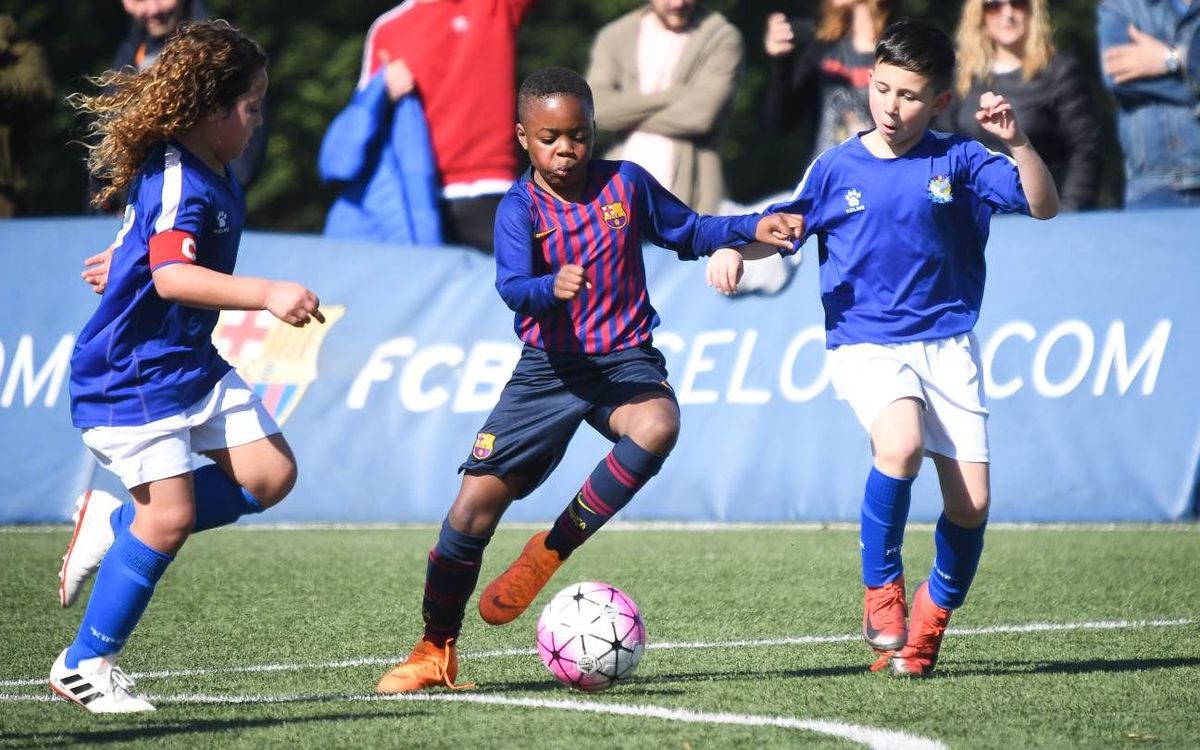 Benjamí D - Fundació Gramenet